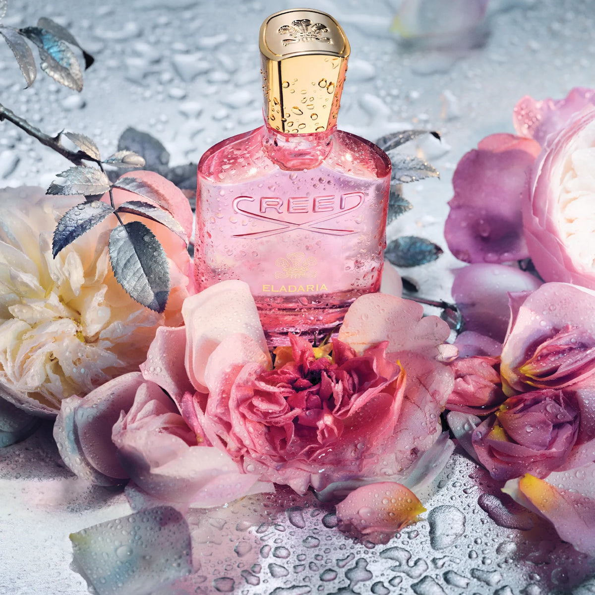 Creed Eladaria 2.5 oz 75ml EDP Perfume for Women